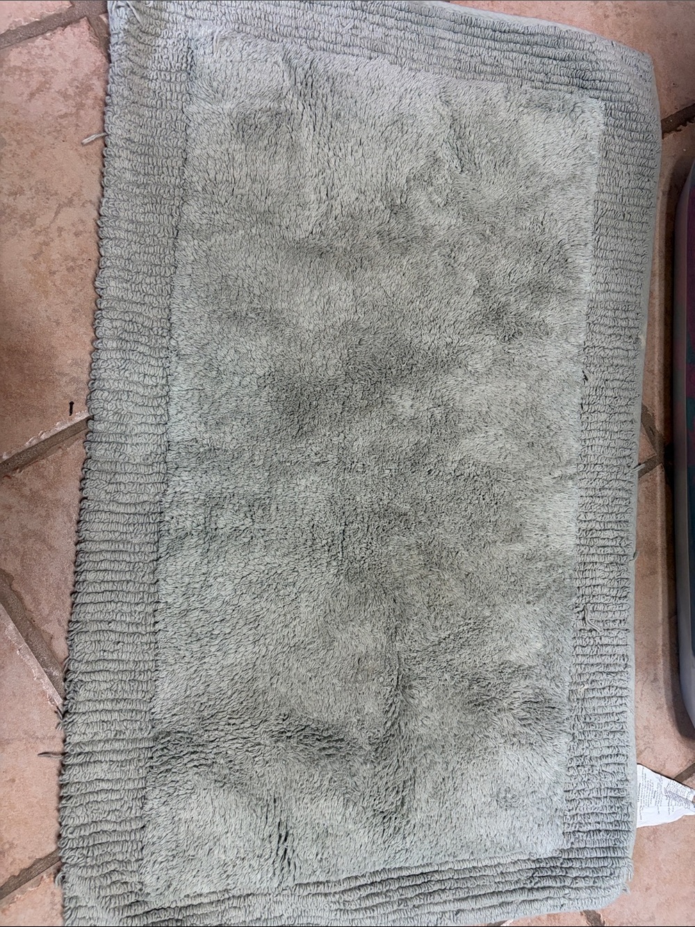#31.Soft Plush Bath Mat in Light Green - Brand